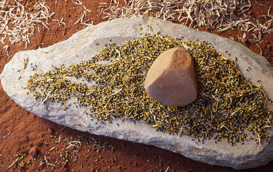 Picture of Acacia Gum Arabic