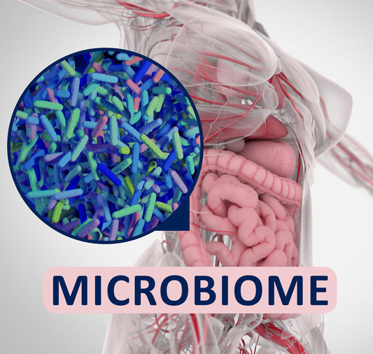 stomach anatomy with smaller photo of gut microbes