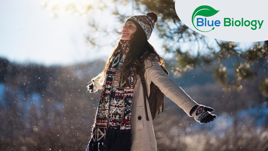 Say Goodbye to Winter Gloom! Let BlueBiology Make Your Season Merry and Bright!