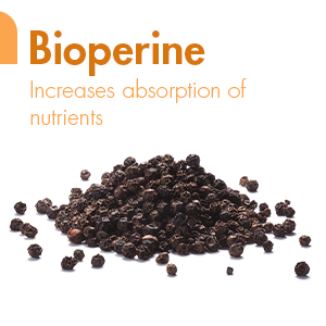 Bioperine. Increases the absorption of nutrients